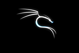 Kali Linux