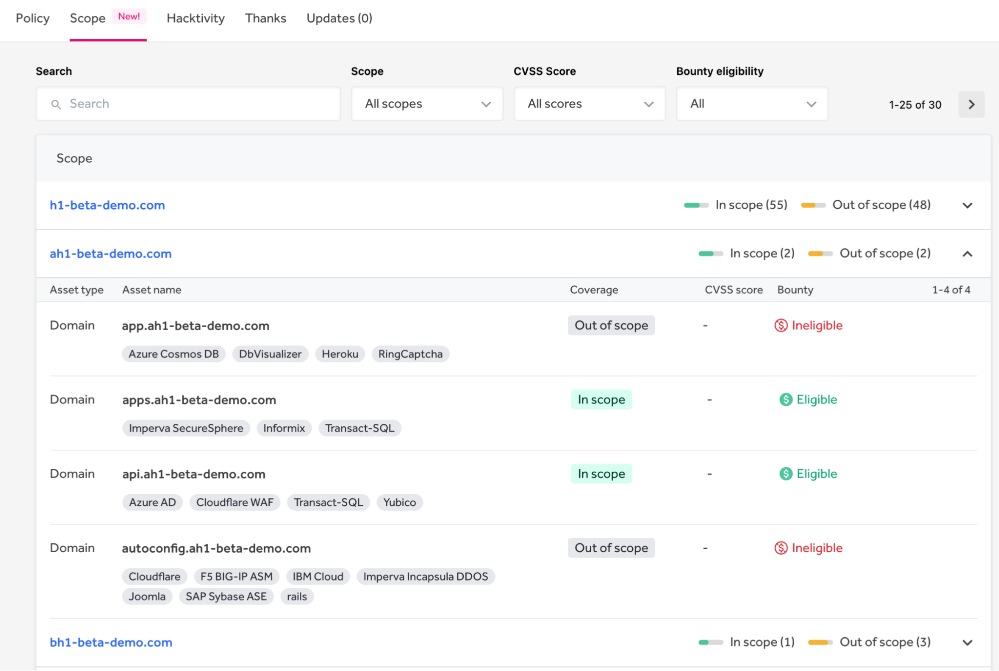 Figure 3 - Assets shown under the asset group "ah1-beta-demo.com" on the new Scope tab